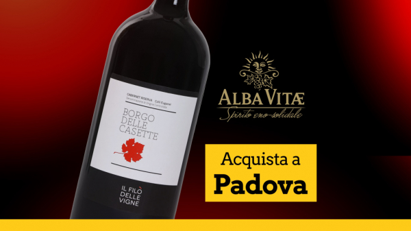 Acquista Alba Vitae a Padova