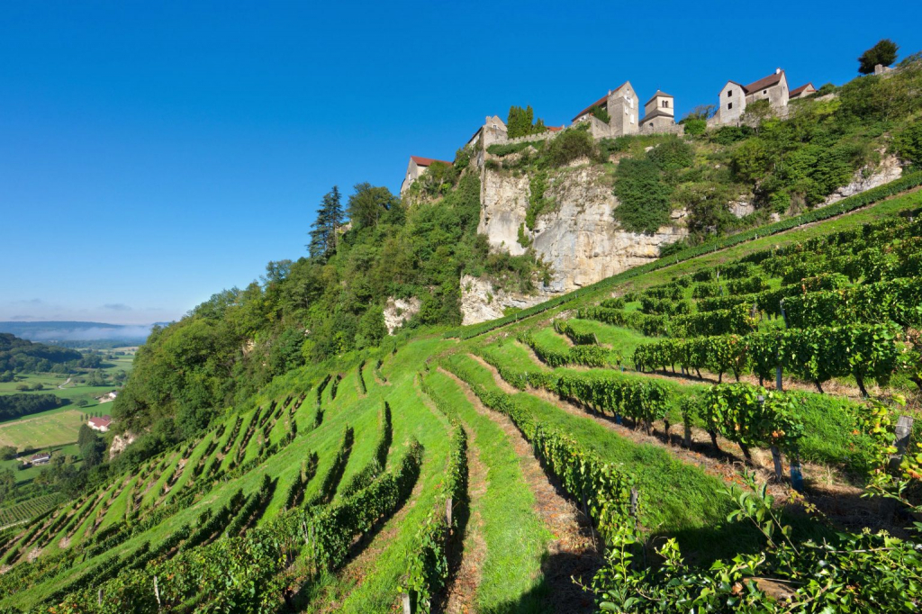 I vini dello Jura