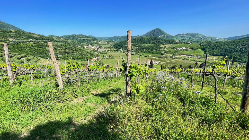 Un pomeriggio con Monteversa