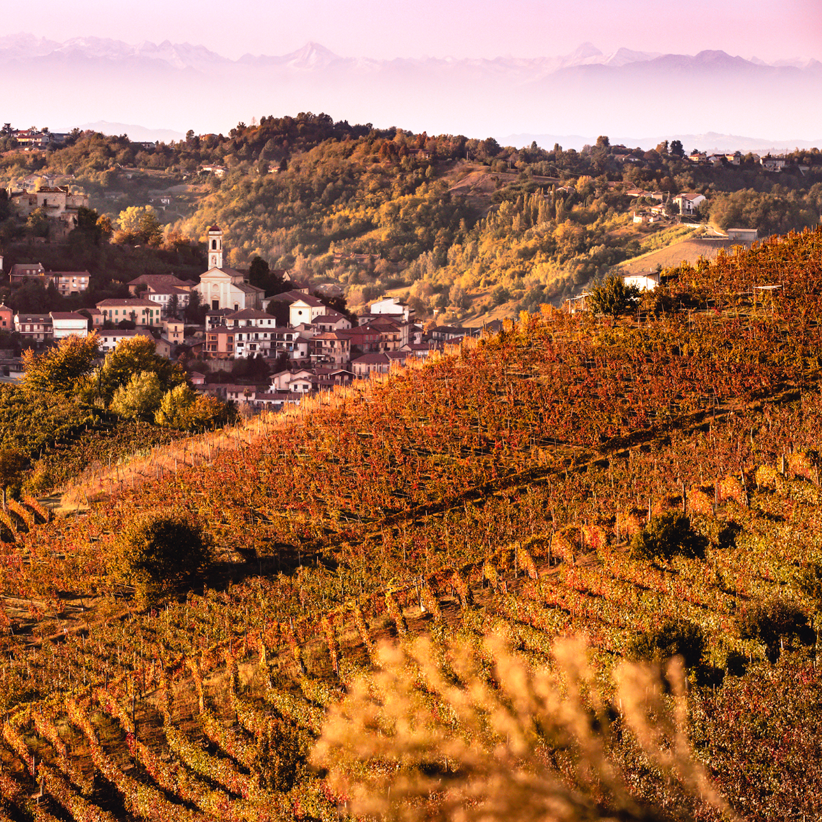 Nizza DOCG: un sorso di eleganza