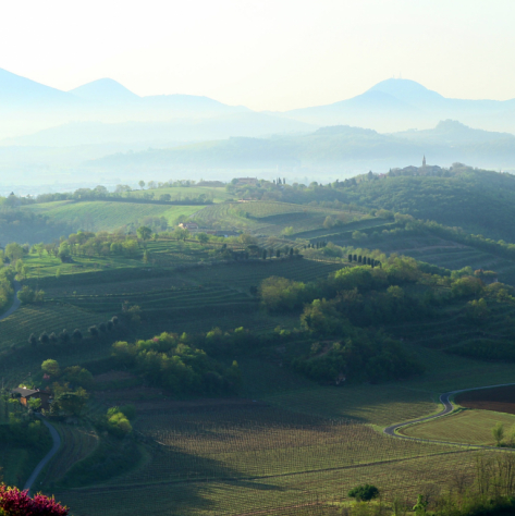 Sulle vie del Palladio con i vini dei Colli Berici