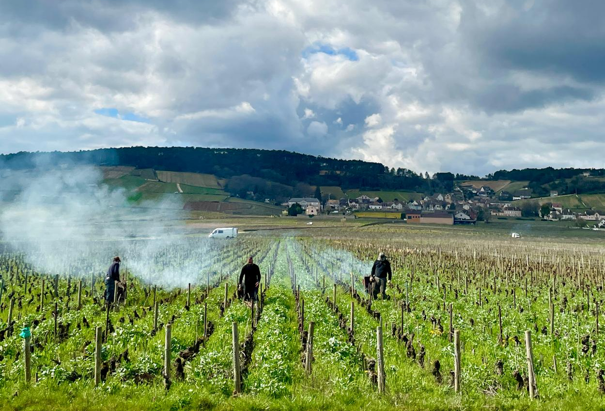 Il sentimento rosso della Borgogna