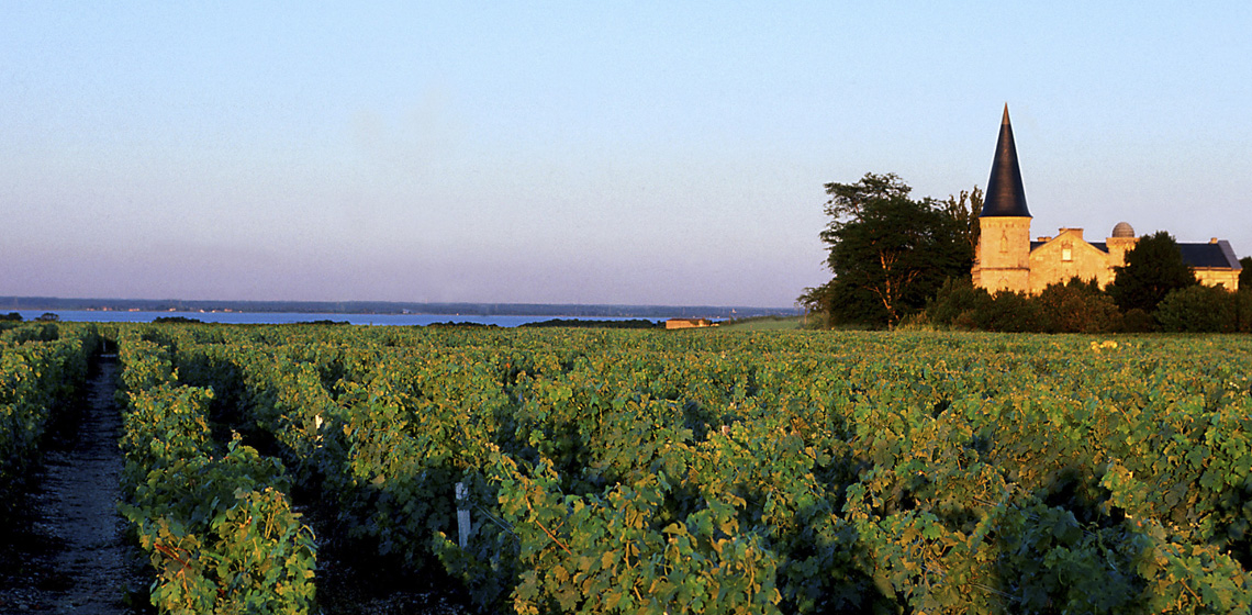 Bordeaux, il Medoc e l’arte dell’assemblaggio.