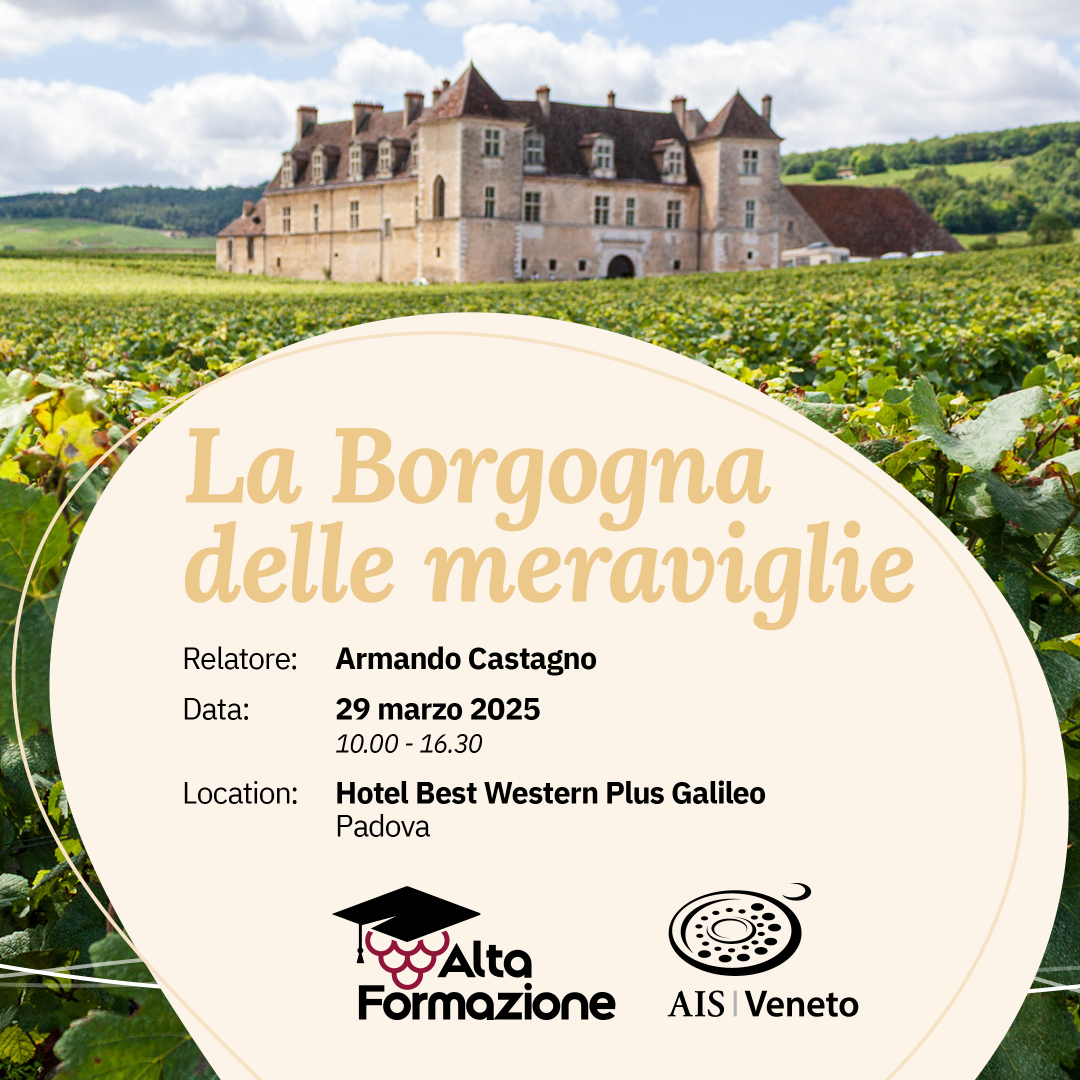 La Borgogna delle meraviglie